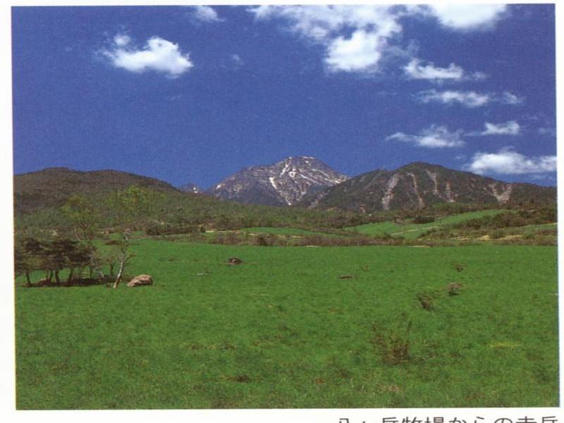 Kiyosato Pension Izumi Hokuto  Exterior foto